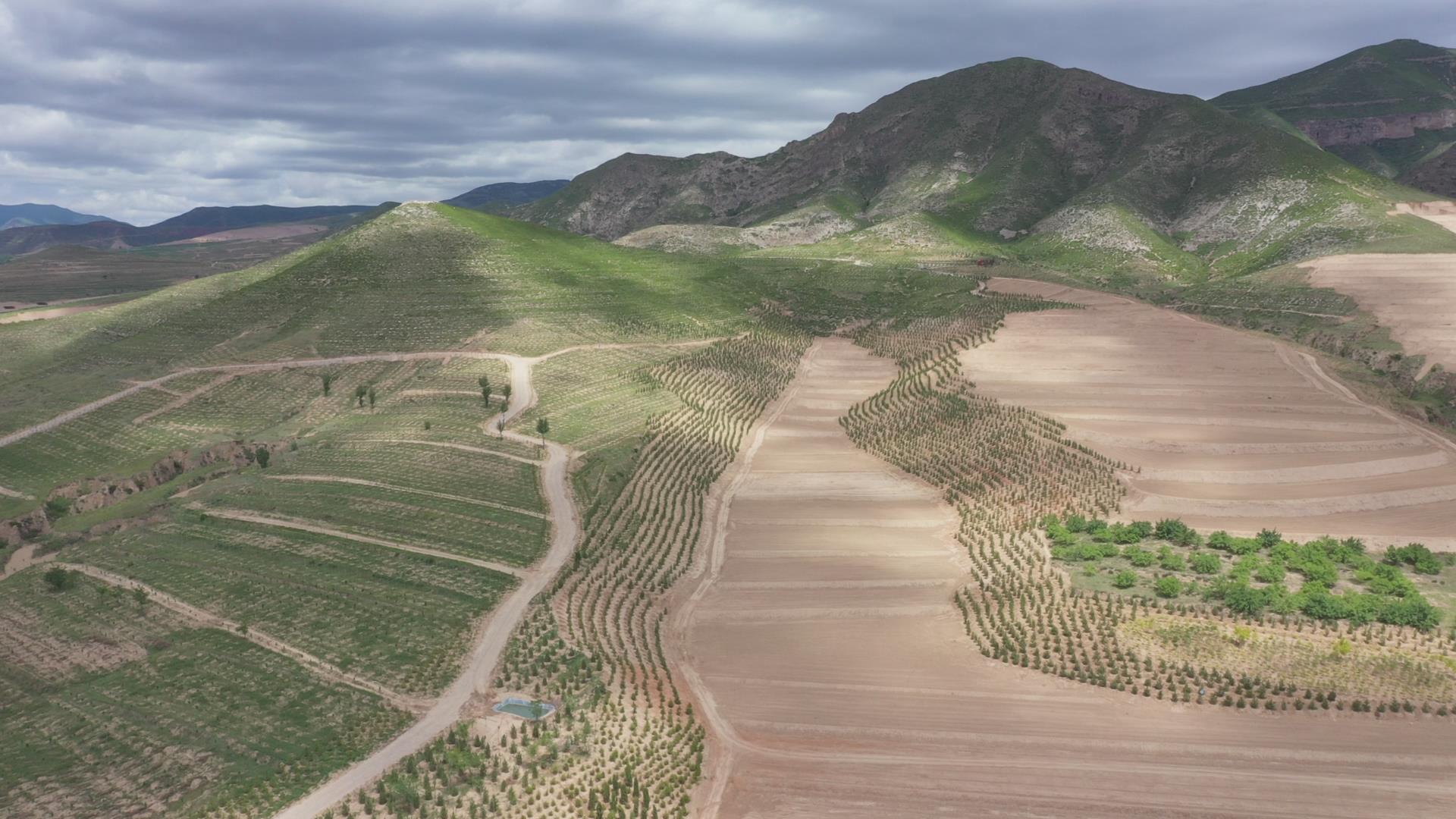 多乐游戏游客登录:科技农业的精准守护：testo赋能科技农业的生态洁净室环境监测